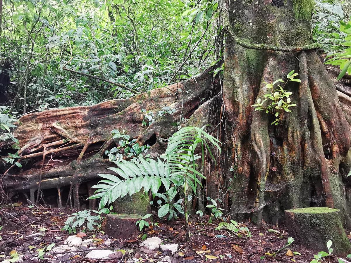 Burbi Lake Lodge Monteverde Екстериор снимка